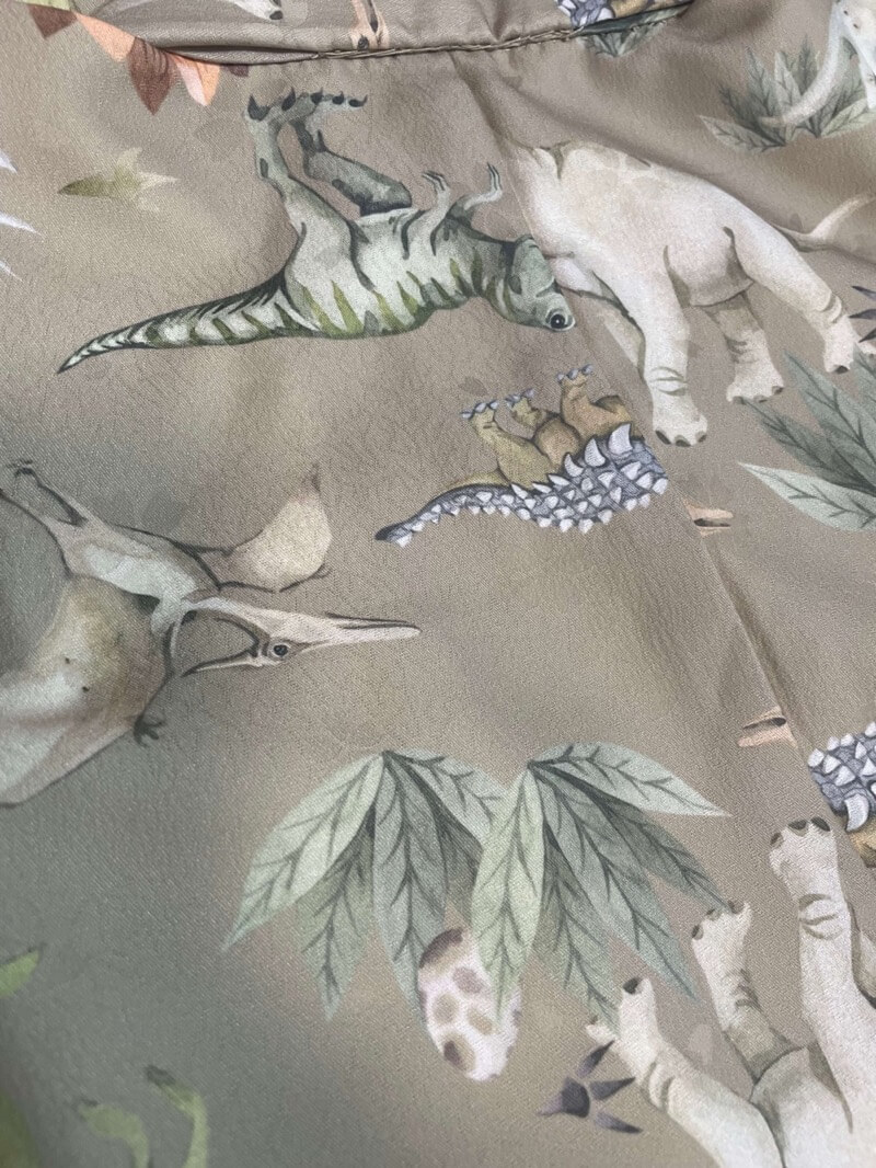 恐竜柄5歳レンタル七五三